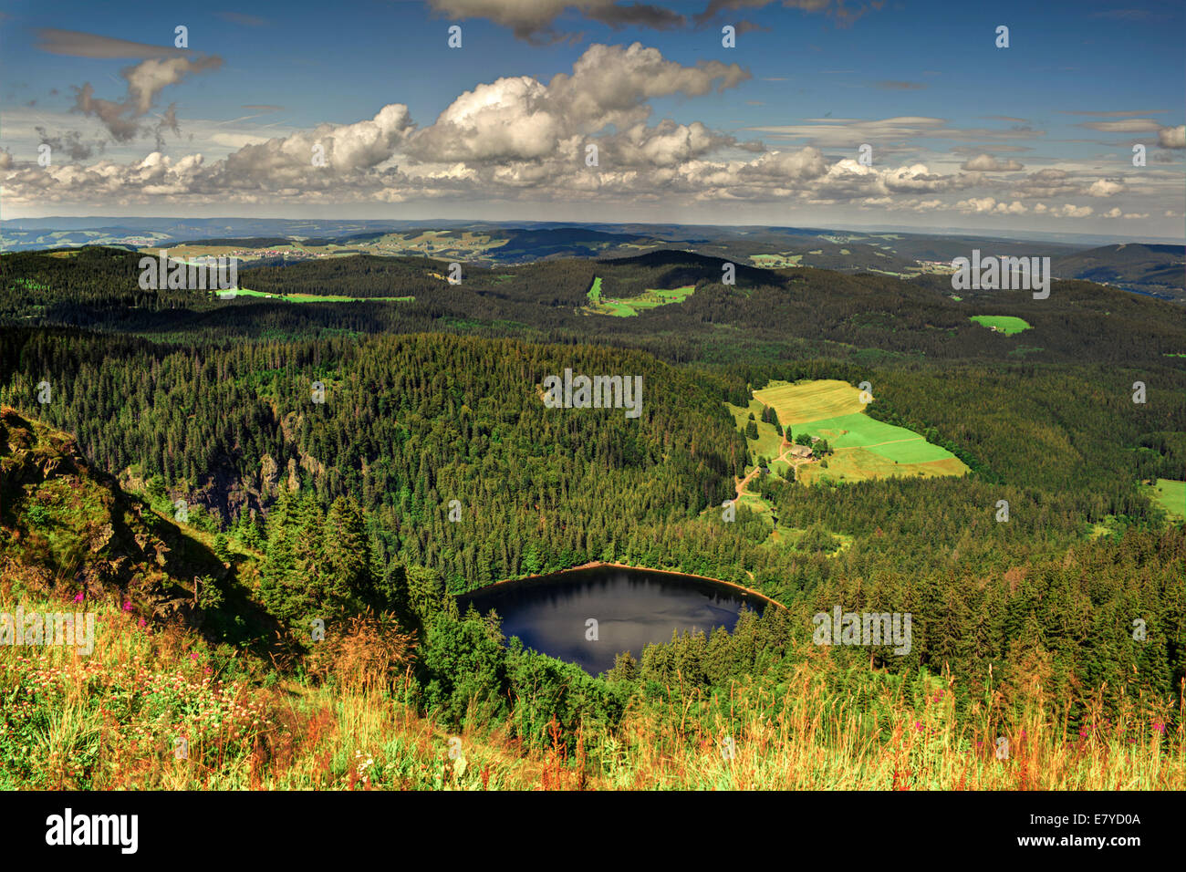 Panorama landscape view over black forest Germany Stock Photo - Alamy