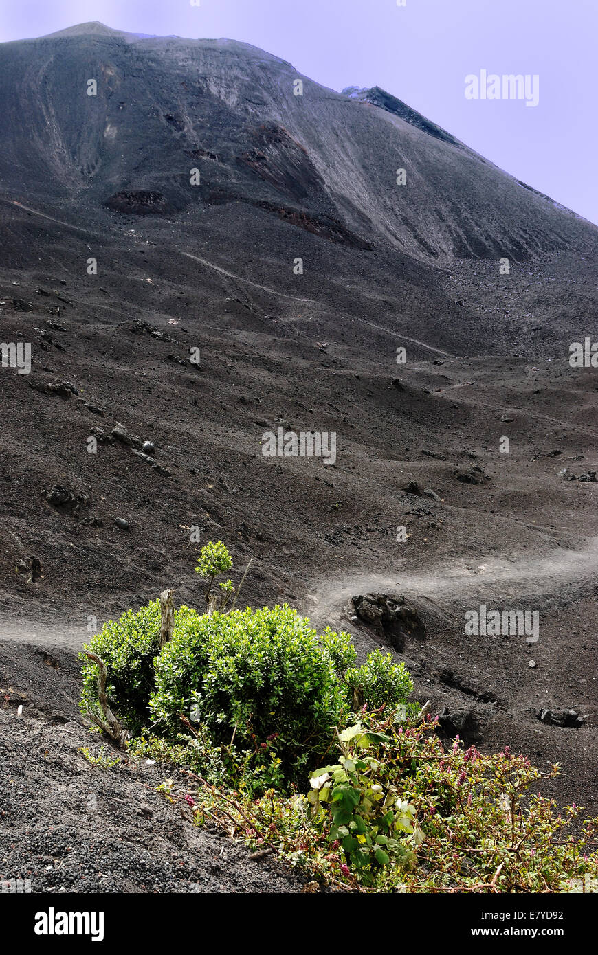Lava Flow and the Volcano Stock Photo - Alamy