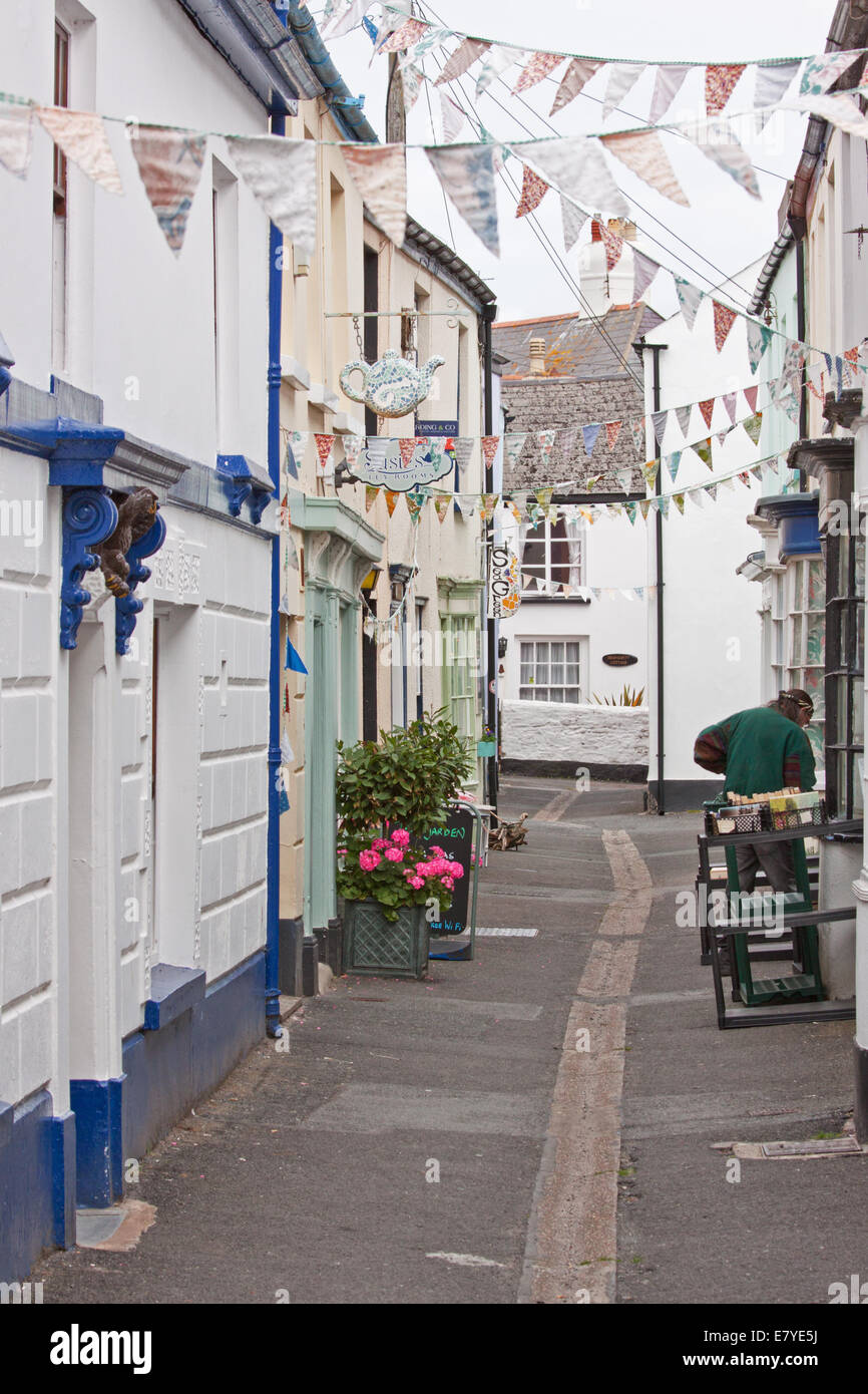 Houses in a typical road in the village of Appledore in North Devon UK