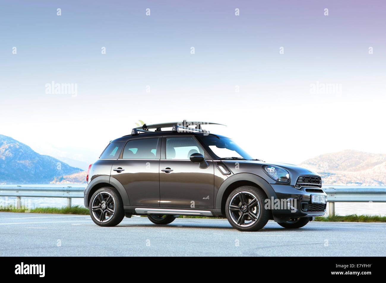 Mini paceman online roof rack