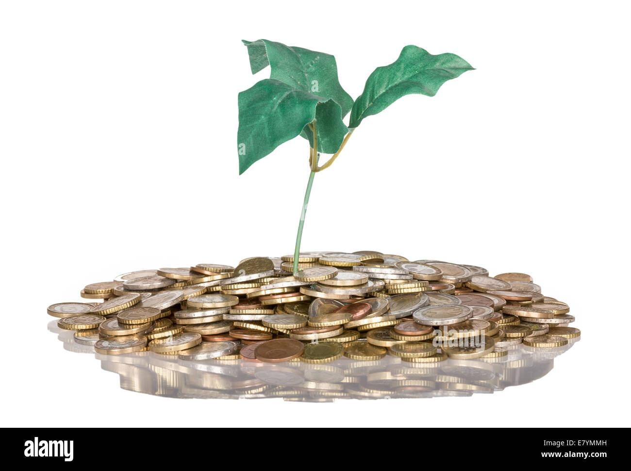 Pile of coins with money tree isolated at a white background, isolated ...