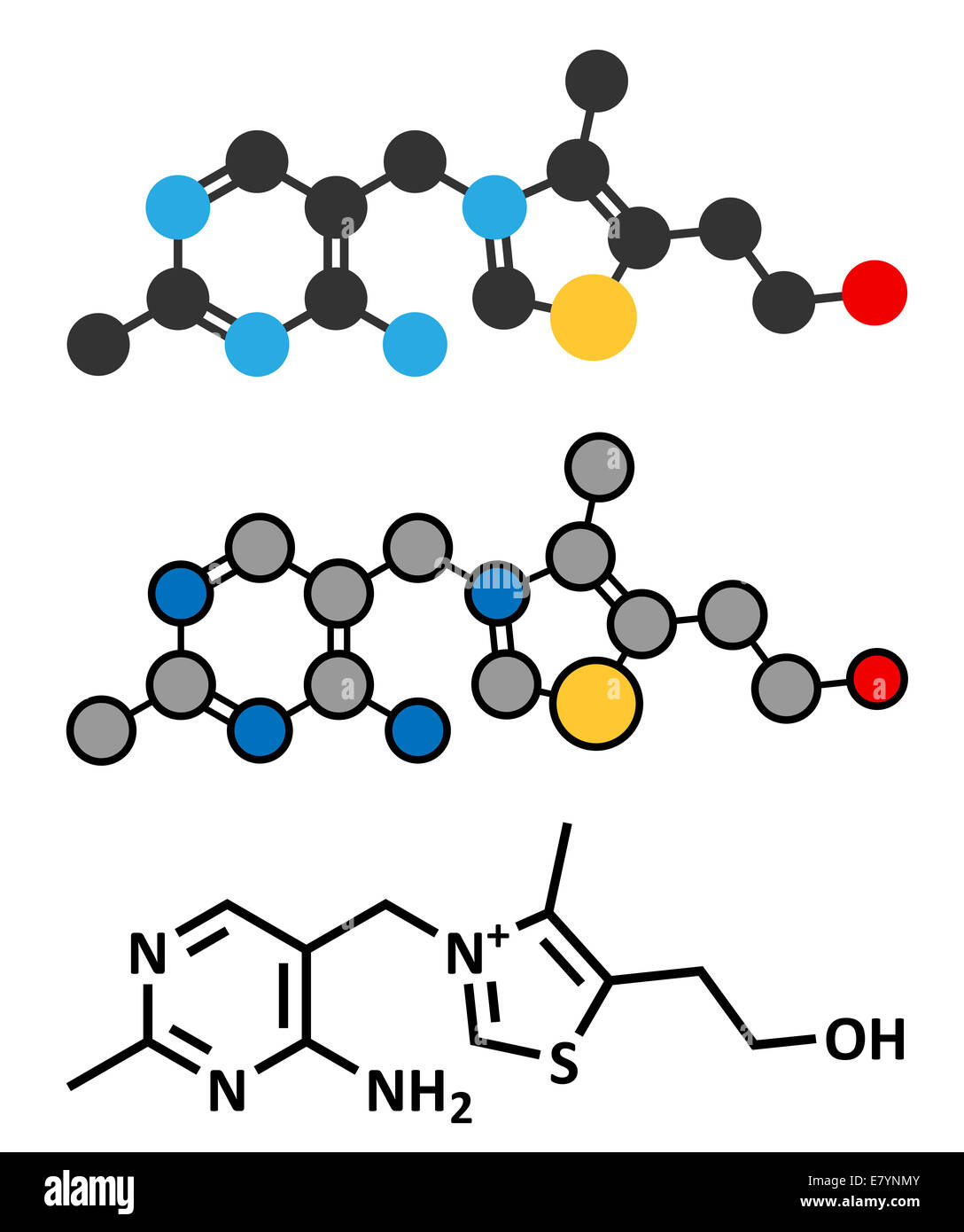 Vitamin B1 (thiamine) molecule. Stylized 2D rendering and conventional skeletal formula Stock