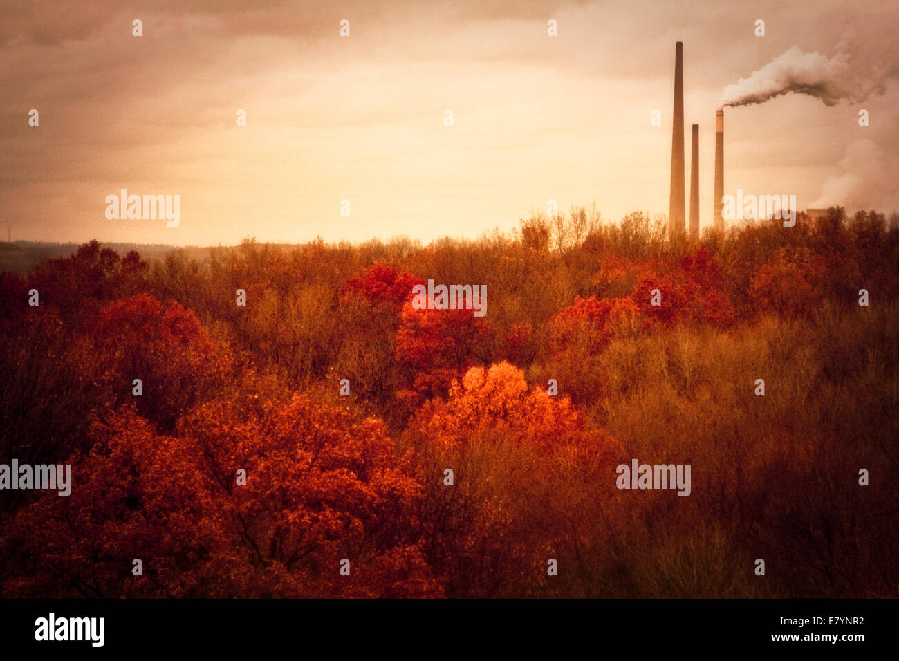 Fall trees with smoke stack in the distance. Stock Photo