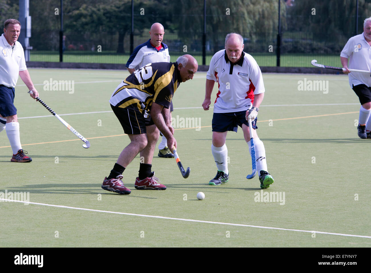 Veteran hockey players Stock Photo Alamy