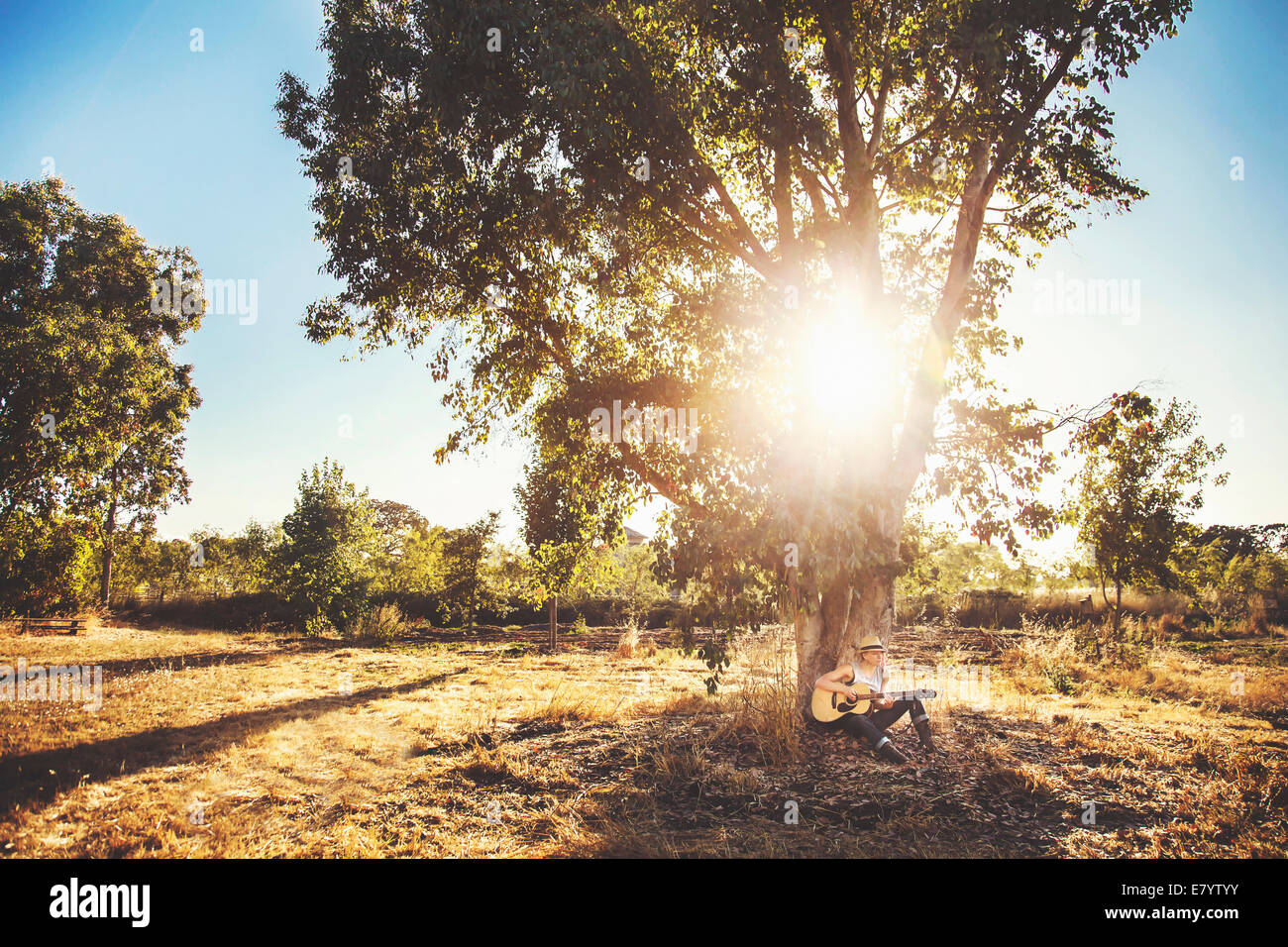 Young Woman Playing Guitar Under Tree Stock Photo Alamy