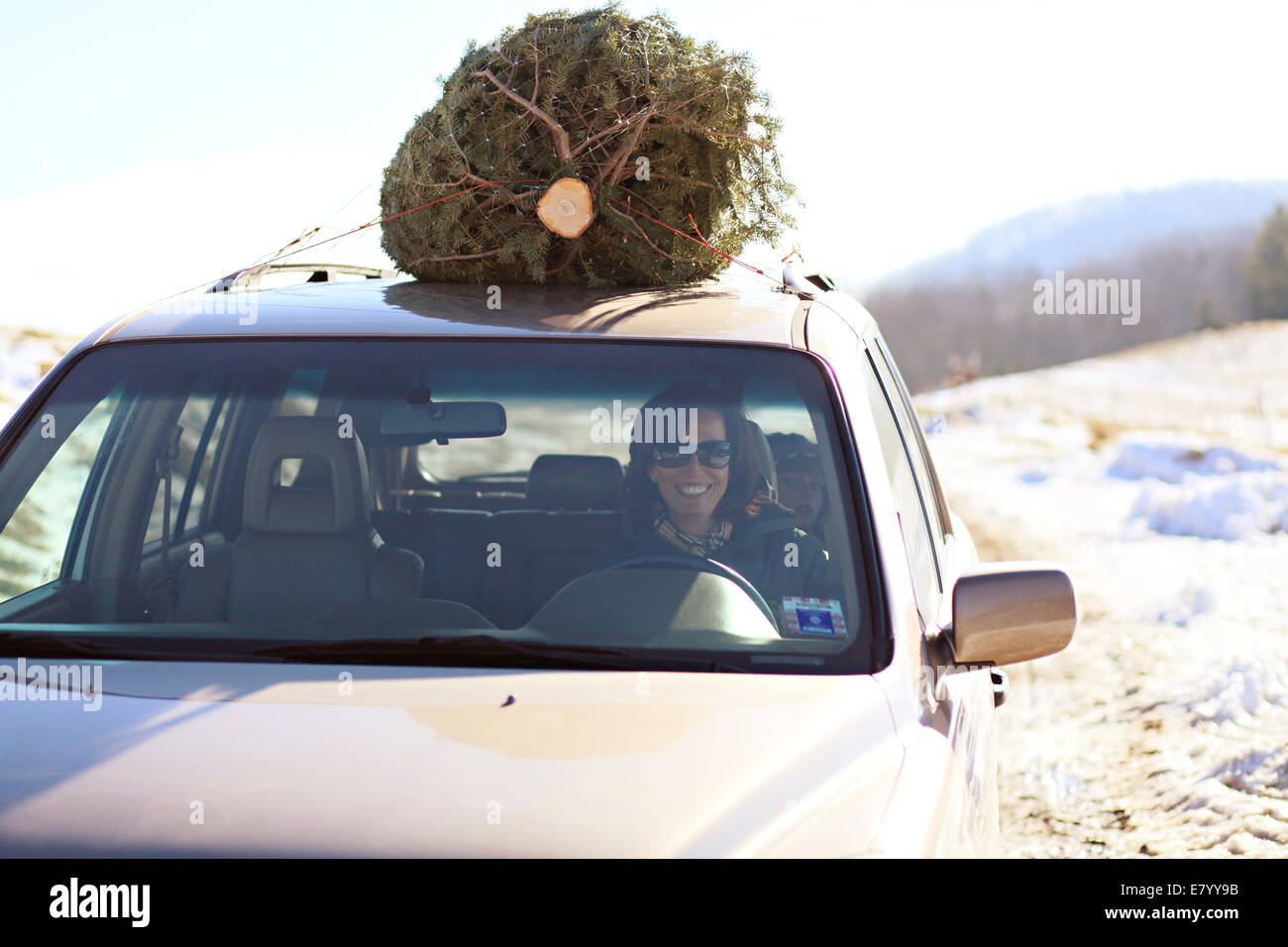 Christmas Tree On Top Of Car 