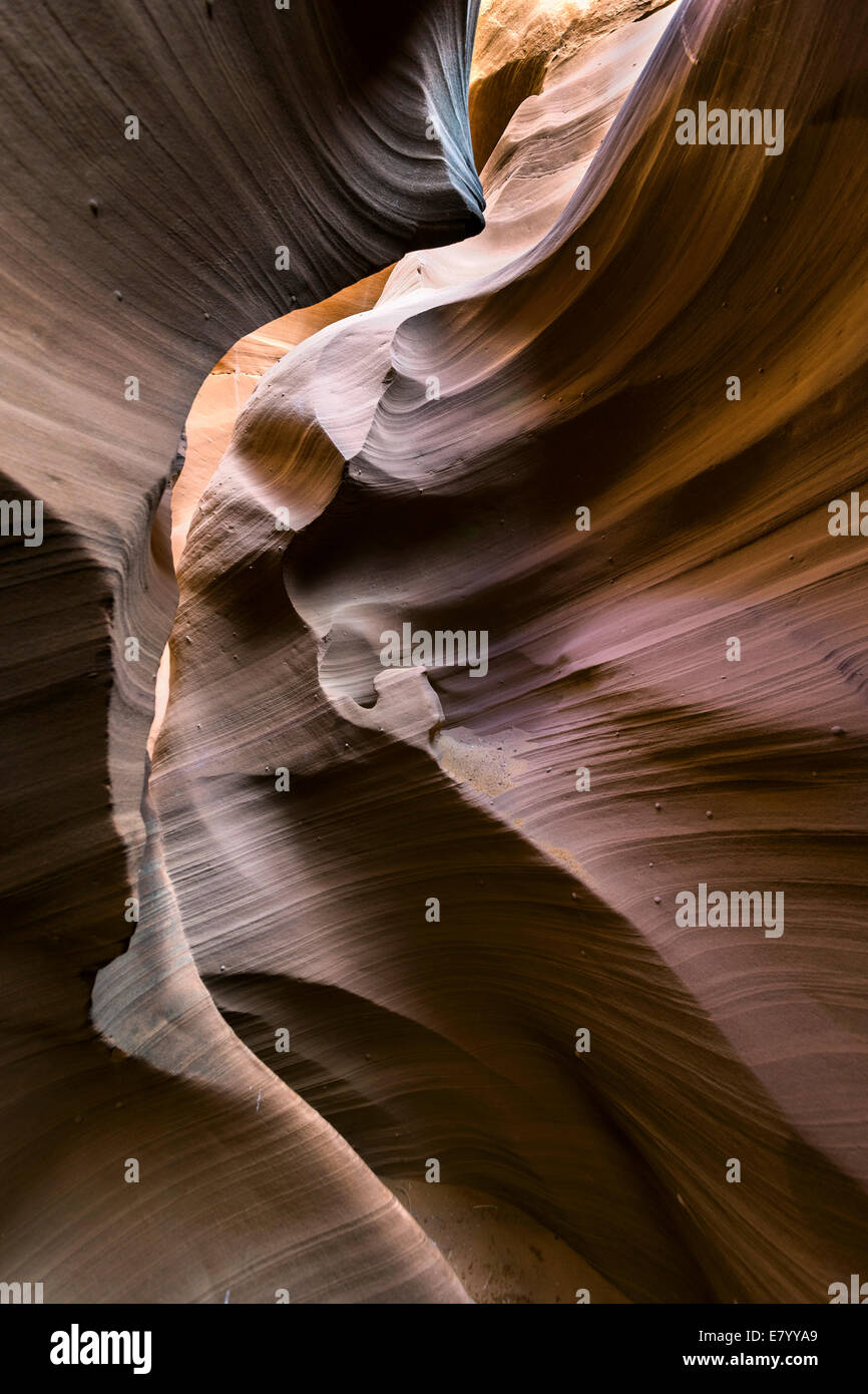 S-curve, Rattlesnake Canyon, Page, Arizona, USA Stock Photo - Alamy