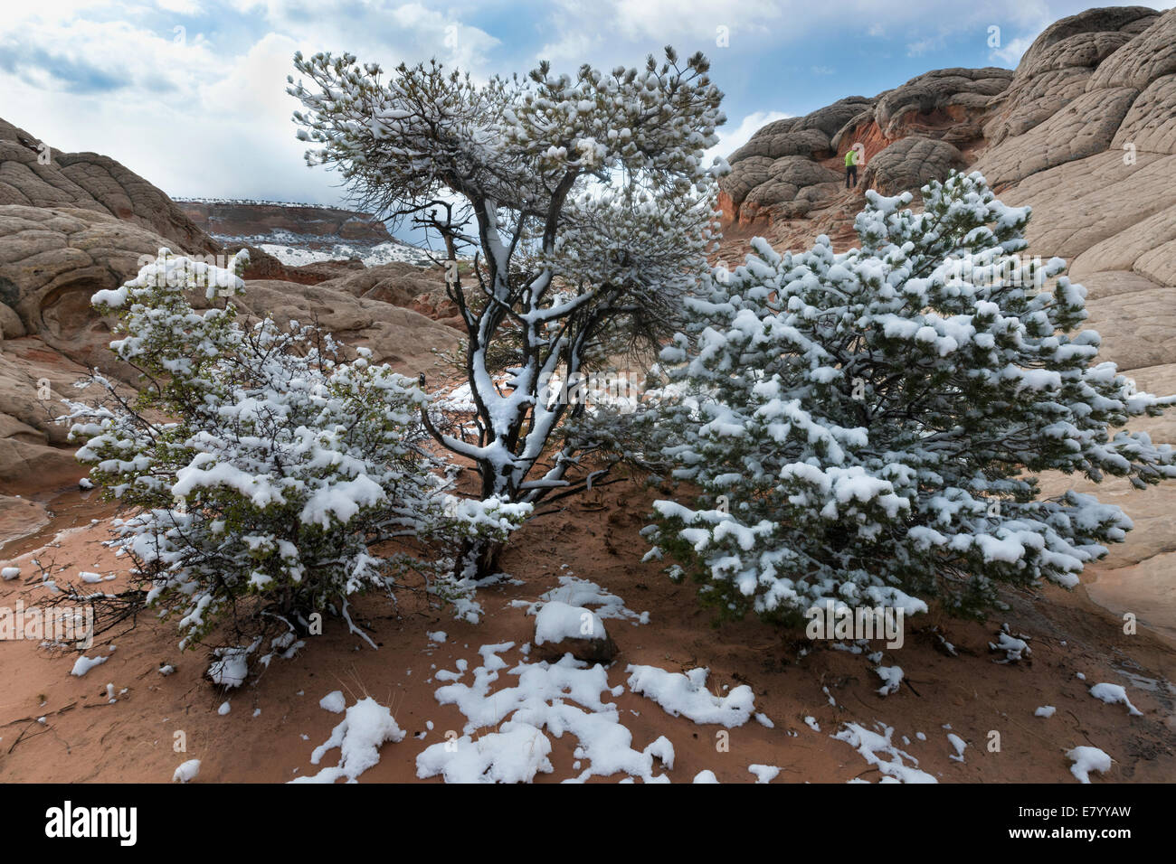 Snow in the high desert, White Pocket, Vermillion Cliffs National Monument, Arizona, USA Stock Photo