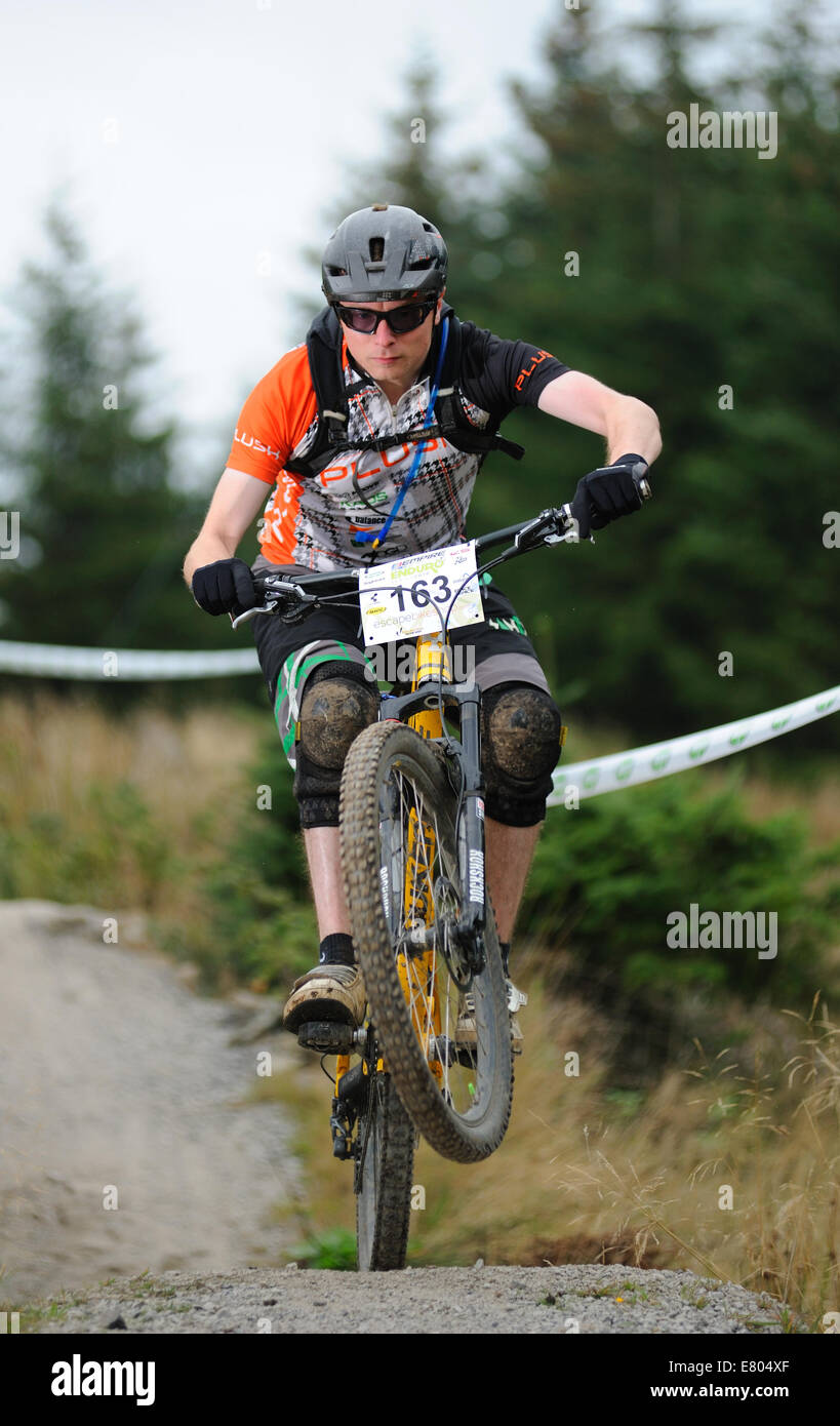 enduro mtb rider