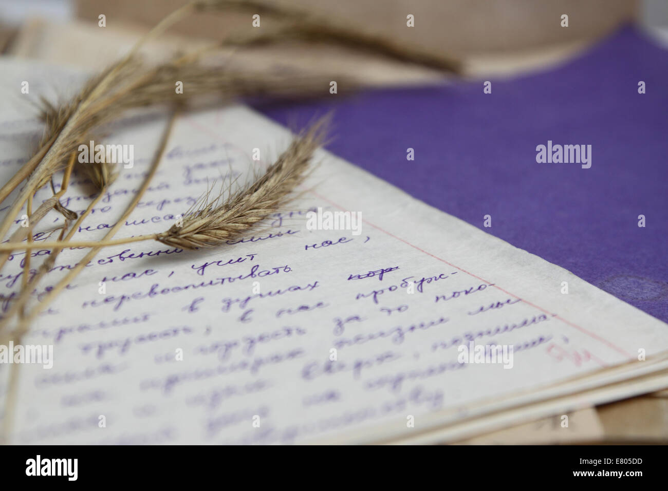 Old notebook, poems and dry grass. Stock Photo