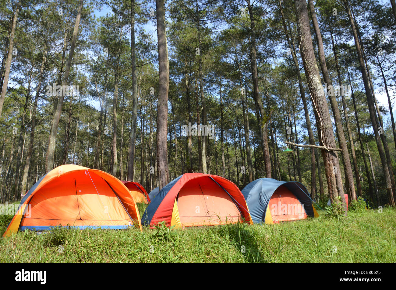 camp in the woods Stock Photo Alamy