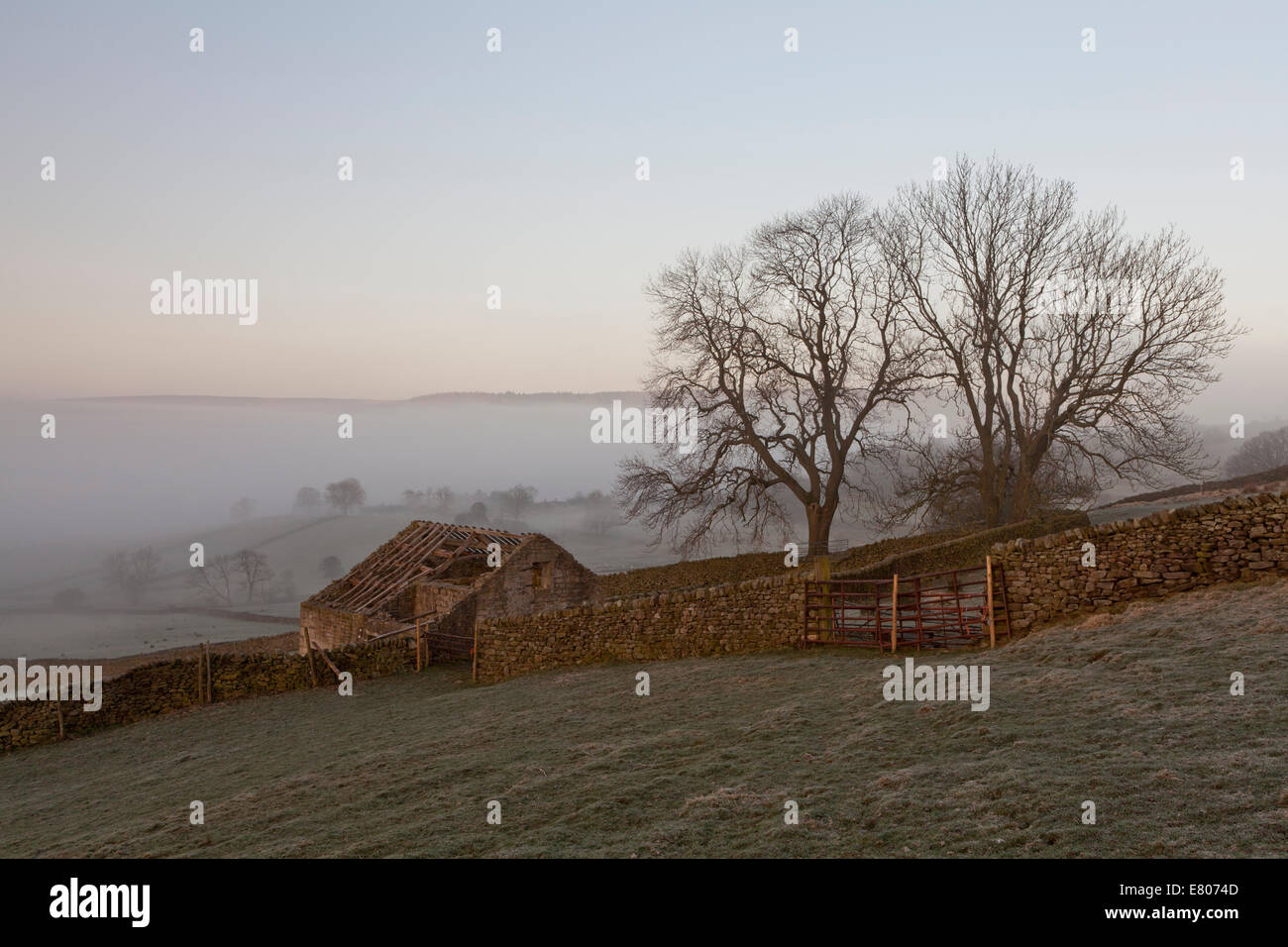 Yorkshire Dales barn and mist, winter Stock Photo