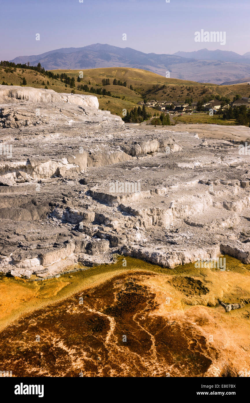Calcium Carbonate deposits from hot springs in the heart of Yellowstone