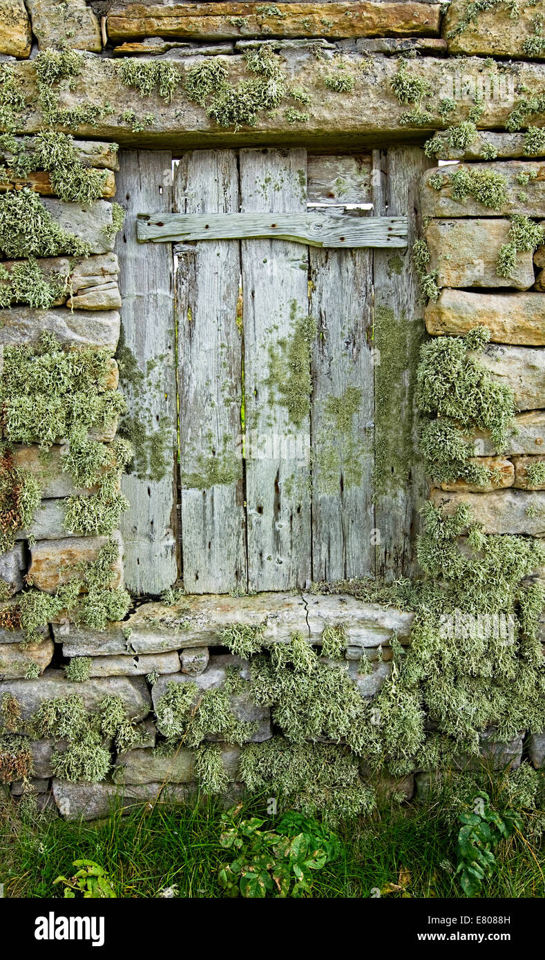 boarded up window of a derelict crofters cottage with lichen covered stone walls Stock Photo