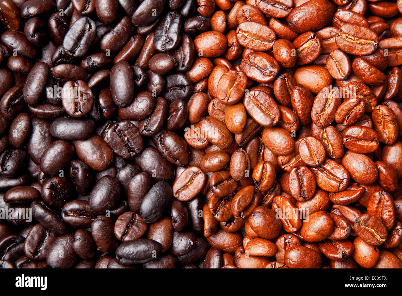 coffee bean background with light and dark roast Stock Photo - Alamy