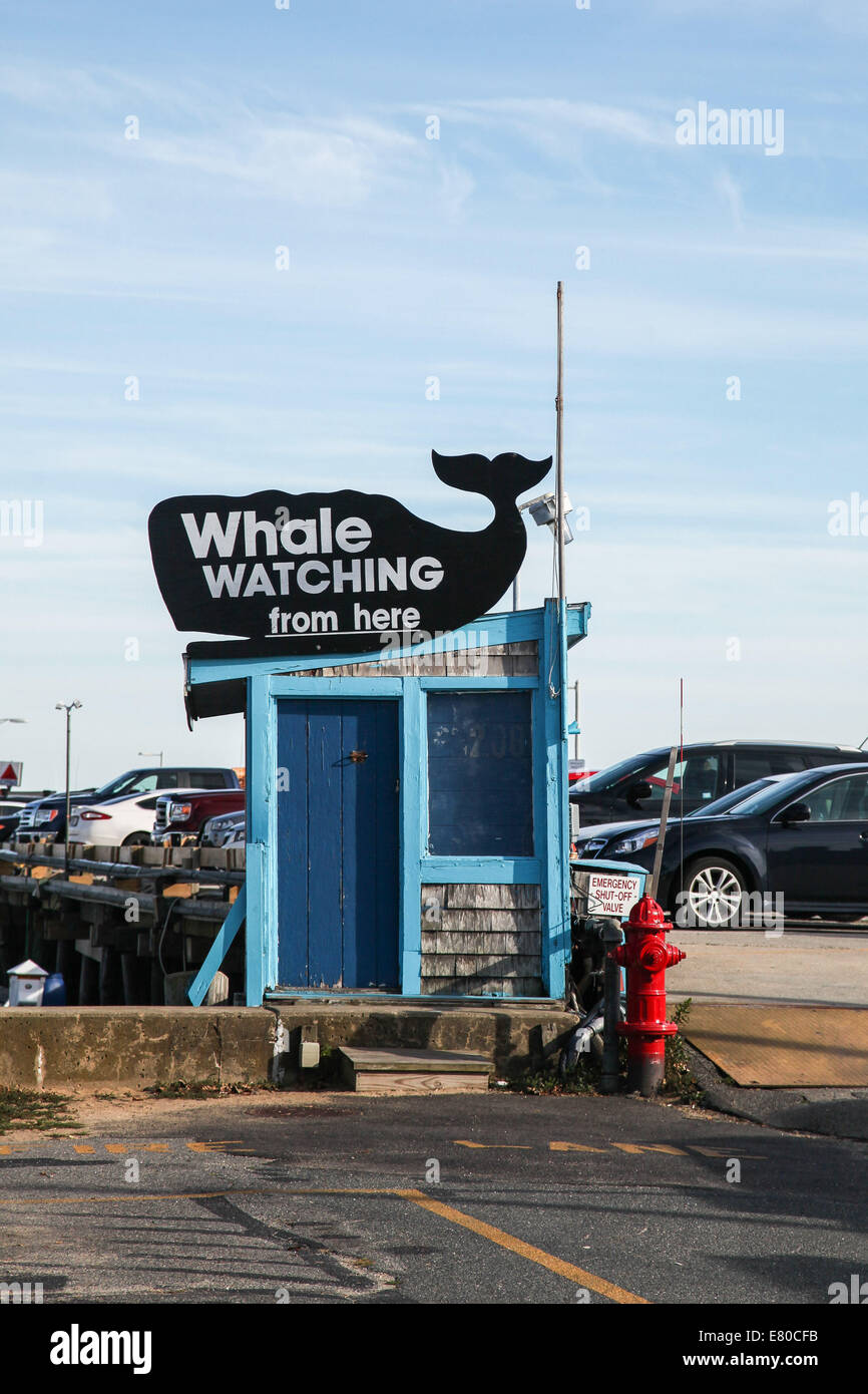 PROVINCETOWN-SEPTEMBER 14:  Whale watching sign  in Provincetown in Cape Cod , Massachusetts, USA on September  14, 2014. Stock Photo