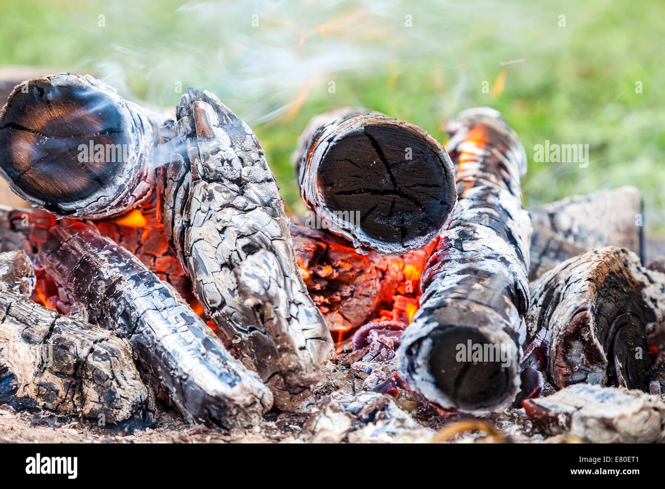 Closeup of hot burning firewood in campfire Stock Photo Alamy