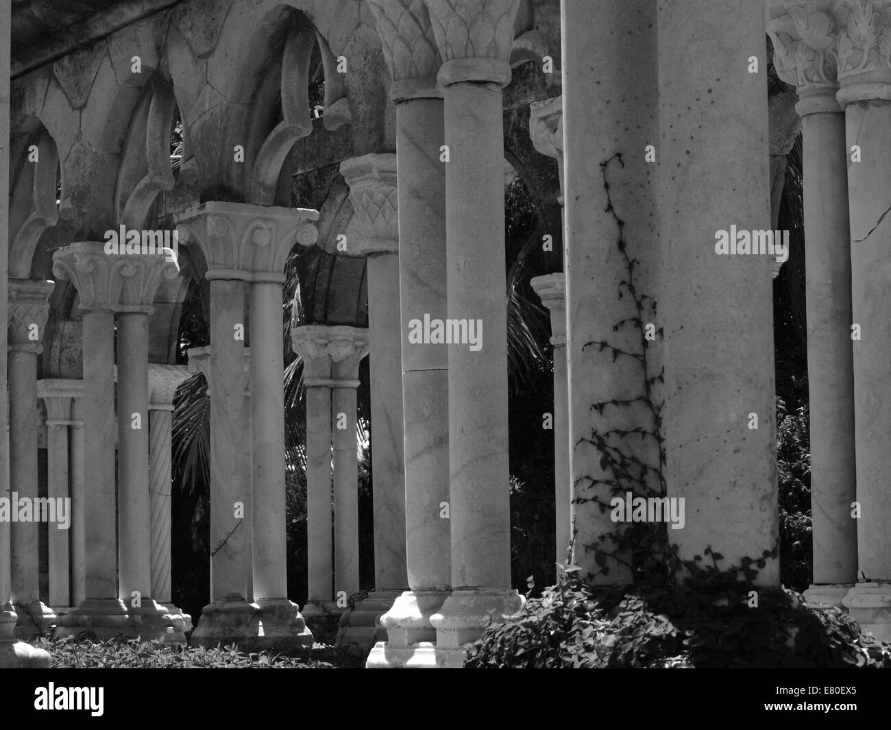 Stone Columns In Black And White Stock Photo Alamy