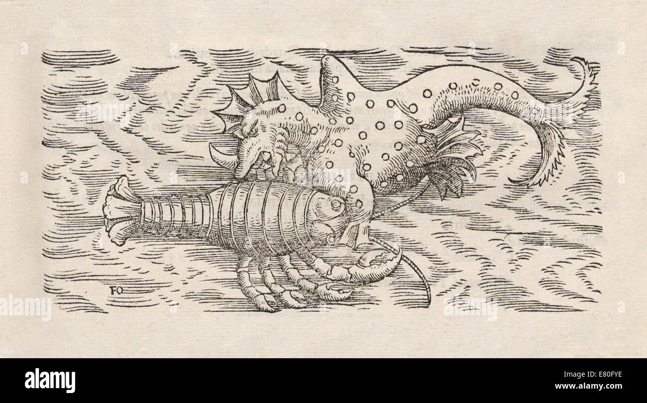 Illustration of marine monsters from 'Historia animalium' by Conrad Gessner (1516-1565). See description for more information. Stock Photo