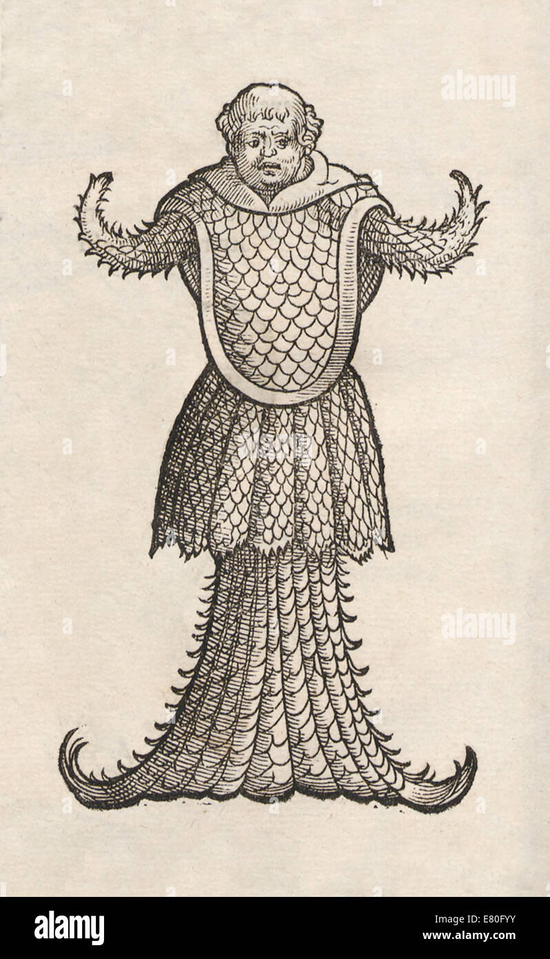Illustration of marine creature from 'Historia animalium' by Conrad Gessner (1516-1565). See description for more information. Stock Photo