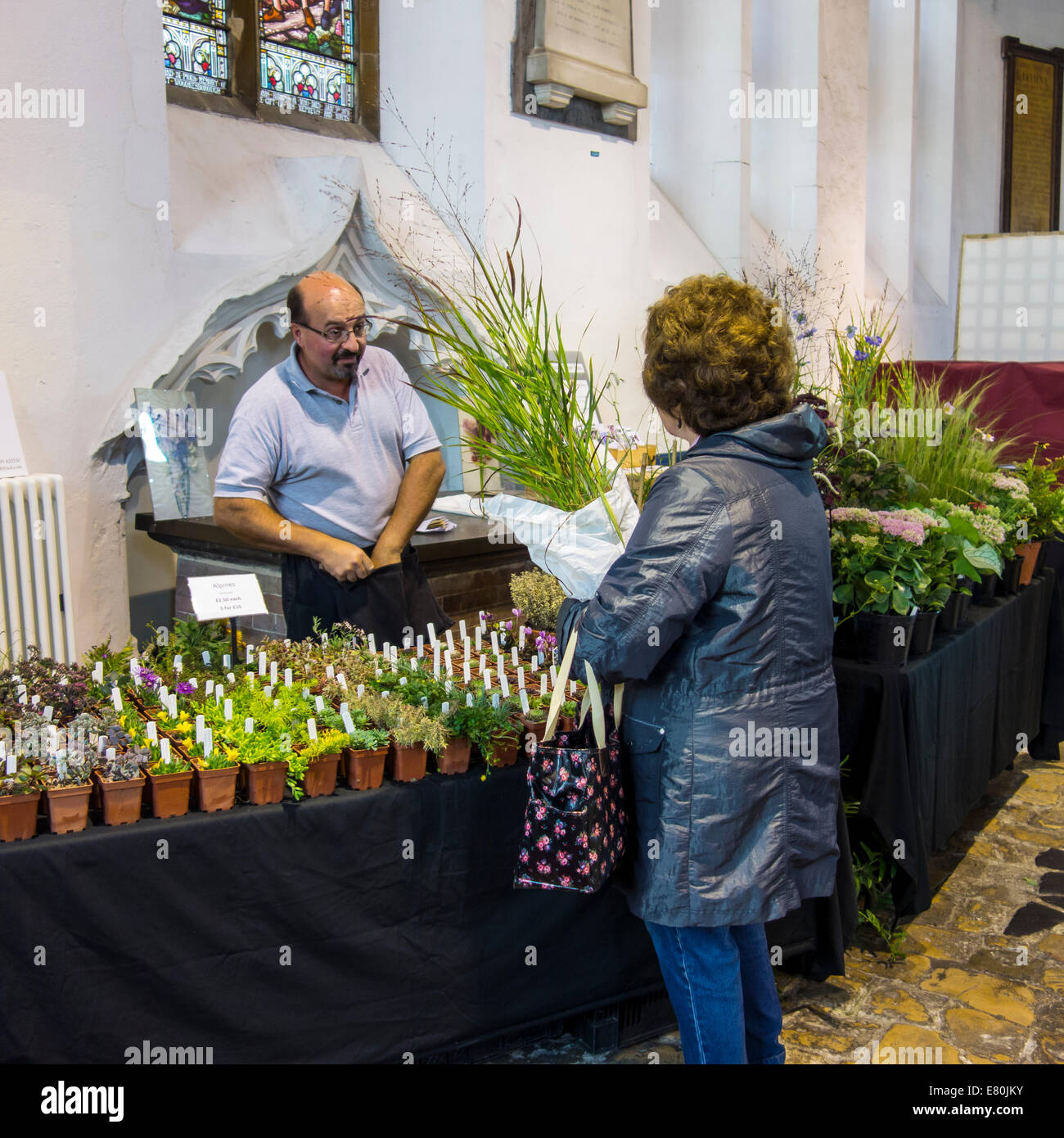 Woman Buying Plant at Plant Fair Stock Photo