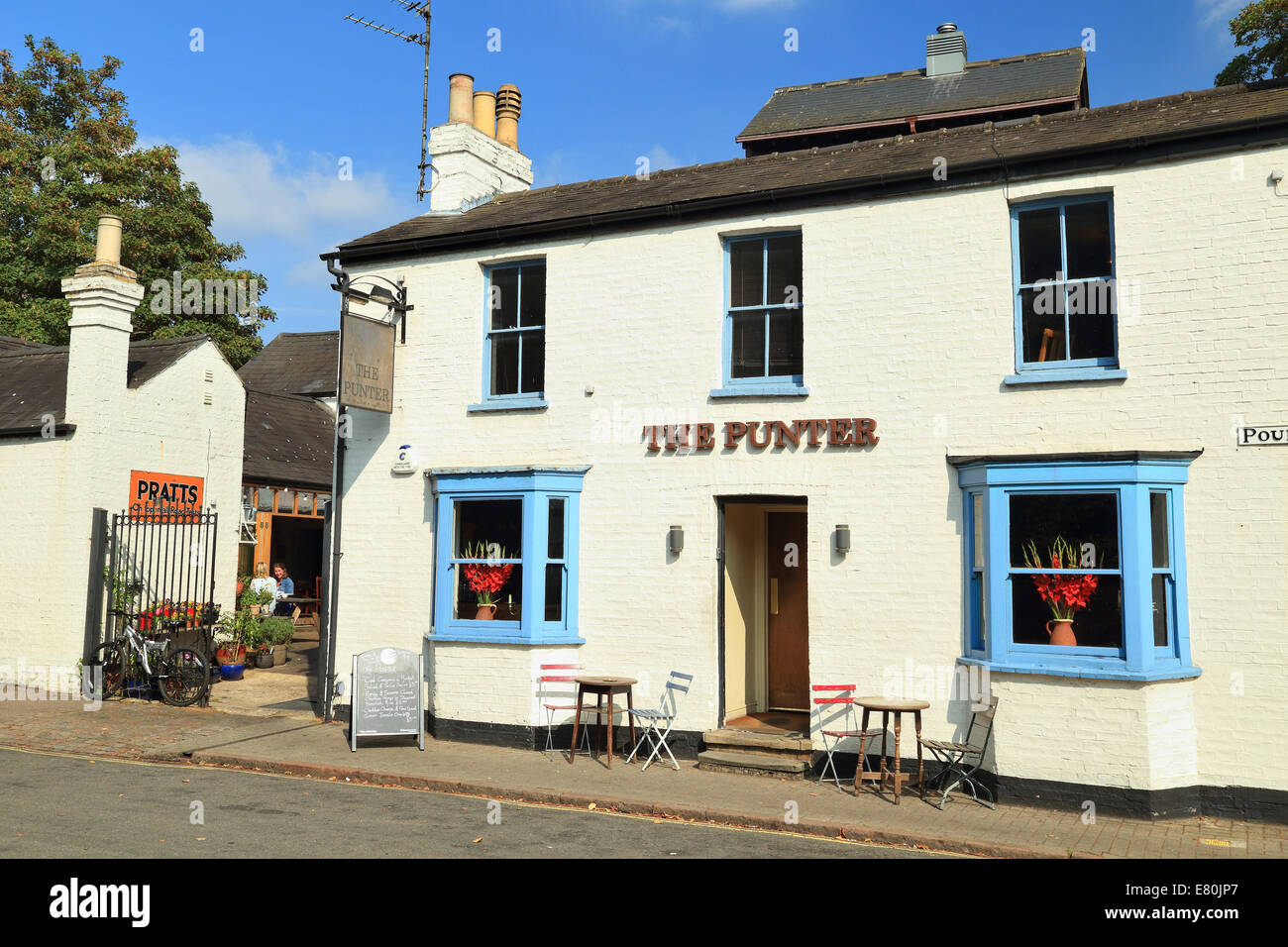 The Punter Pub, Cambridge, UK Stock Photo