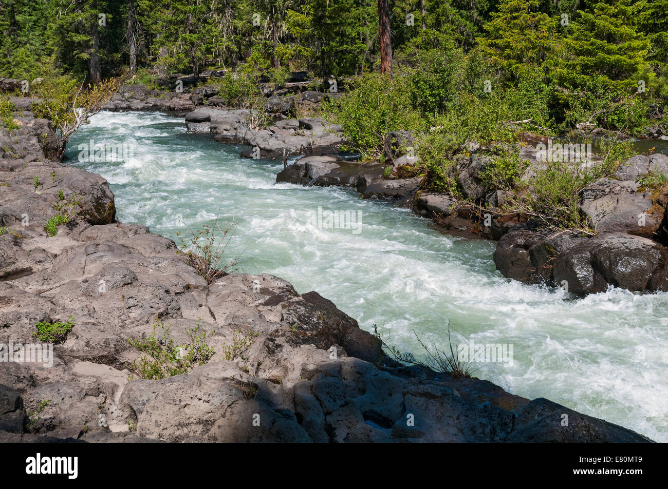 Oregon, Rogue River Gorge near town of Union Creek Stock Photo
