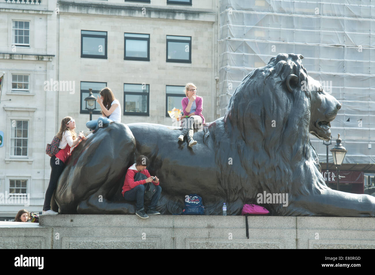 Kids on Lion. Trafalgar Square, London, England. Stock Photo