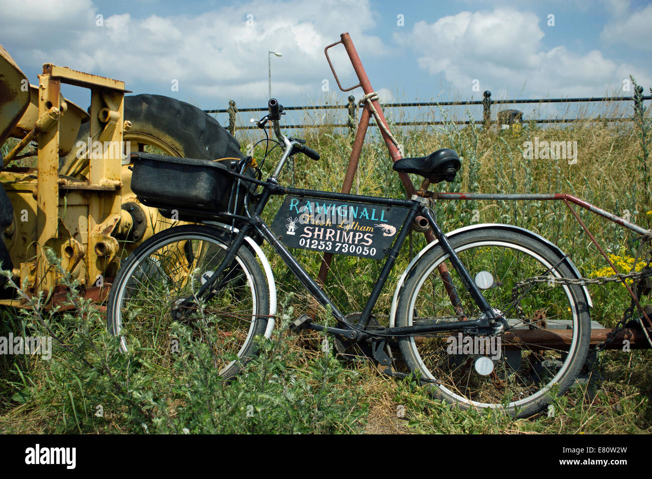 bicycle collection and delivery service
