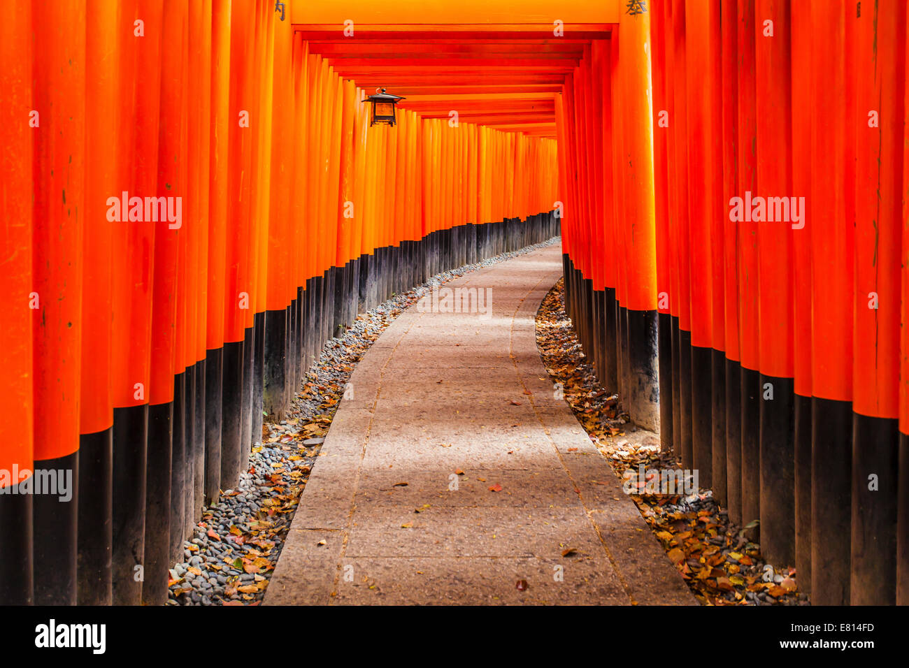 Romon gate fushimi inari hi-res stock photography and images - Alamy