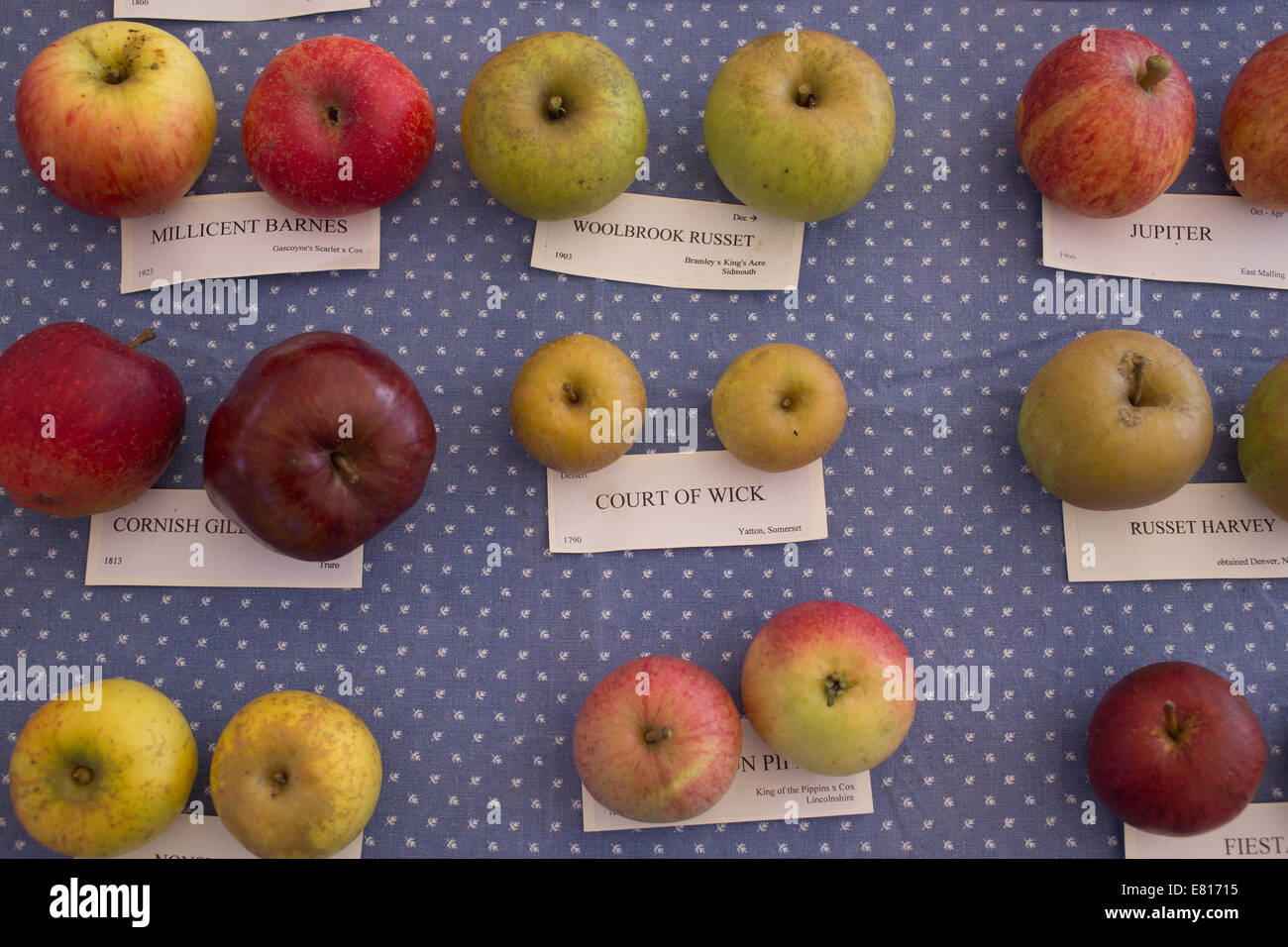 Types Of Apples — All The Common Apple Types