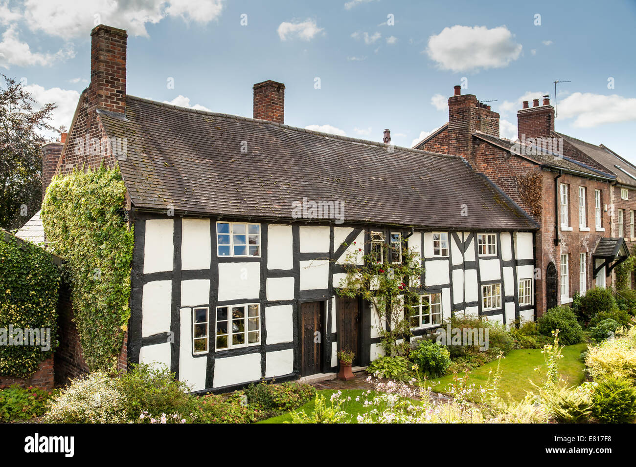 Frontal view, of half timber Tudor cottages, With cottage garden. In an idyllic village Staffordshire England United Kingdom. Stock Photo