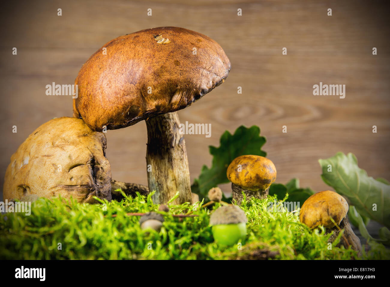 Fresh forest mushrooms against wooden background Stock Photo