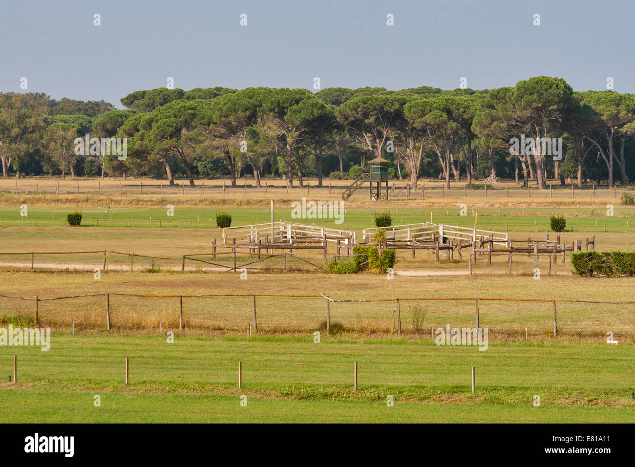 Horse racing track with turf course Stock Photo
