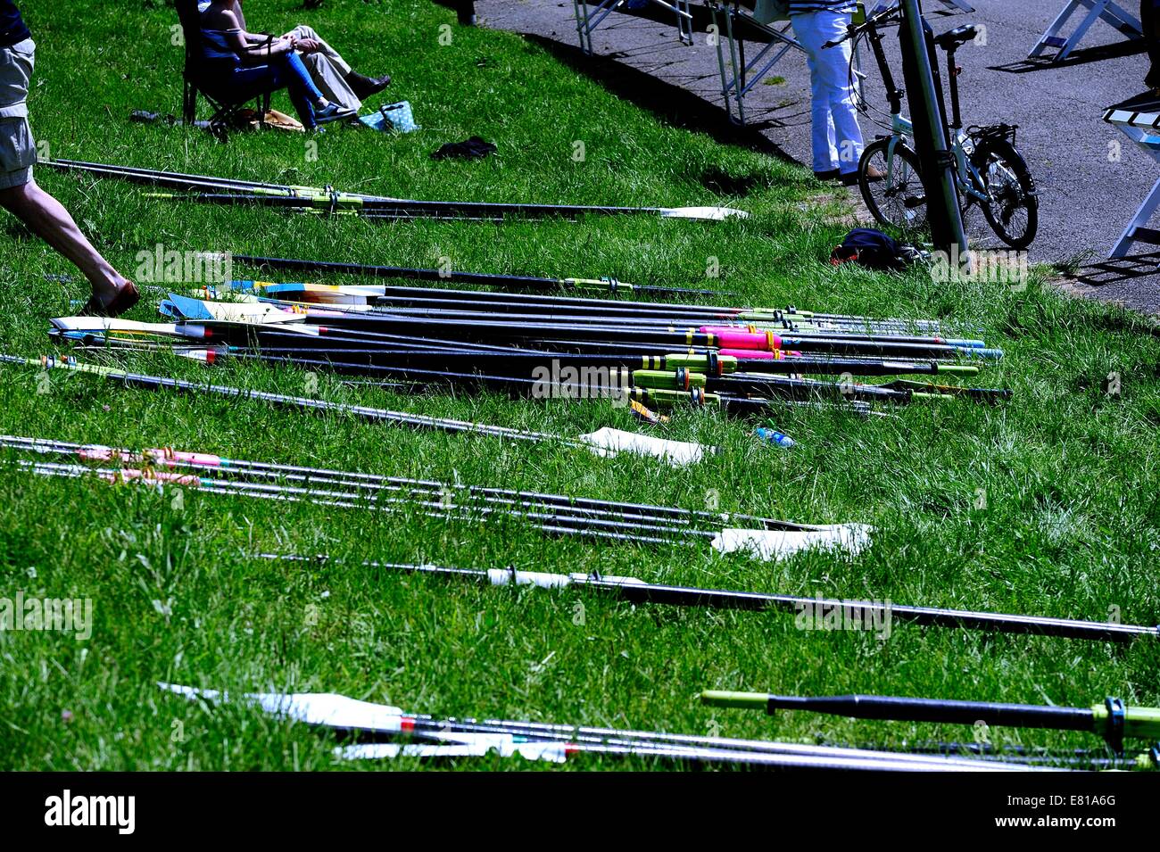 A Pile of Rowing Blades Stock Photo Alamy