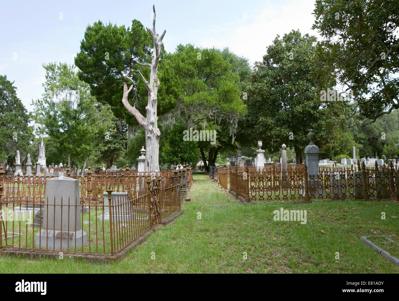 Row of family plots in Magnolia Cemetery, bordered by iron fences. Stock Photo