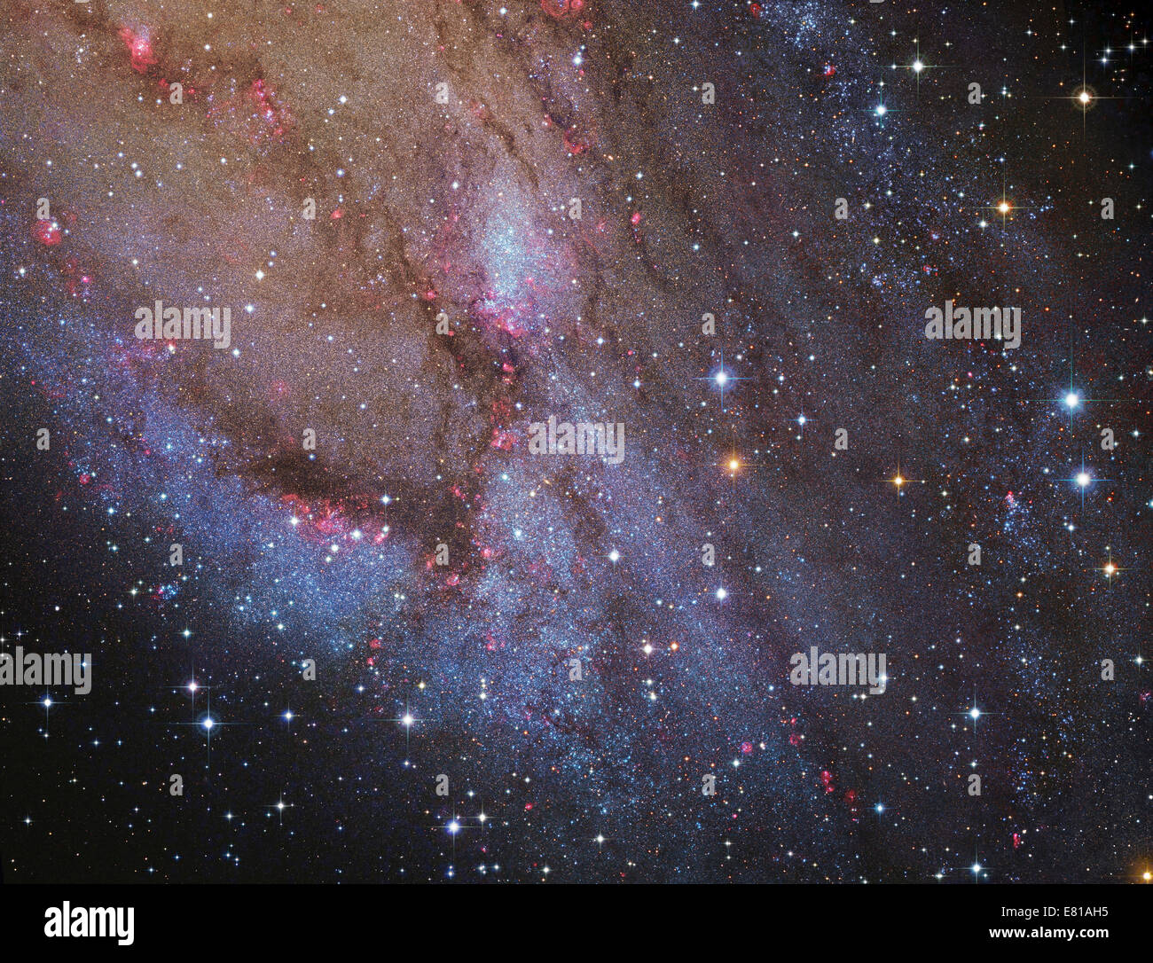 The southwest spiral arm of Messier 31. Stock Photo