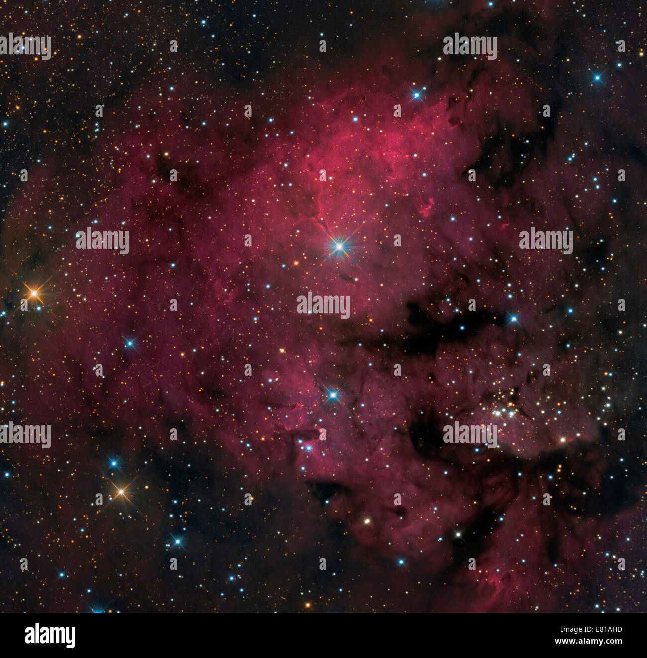 NGC 7822 is a young star forming complex in the constellation of