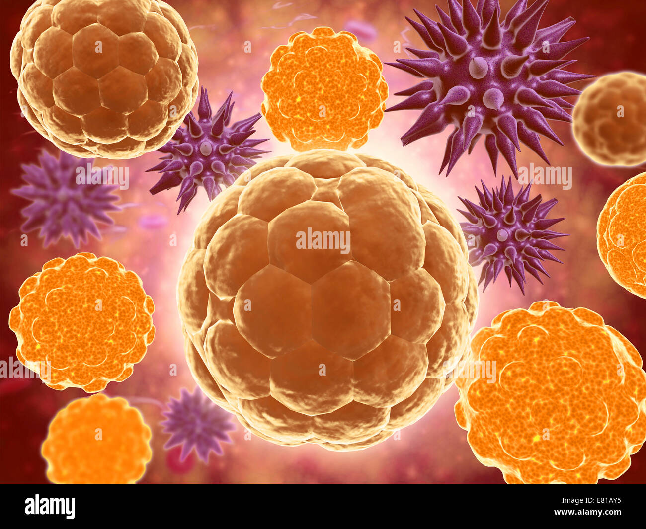 Conceptual image of a ubiquitous virus. A ubiquitous virus is contagious in early childhood through the respiratory tract. Infec Stock Photo