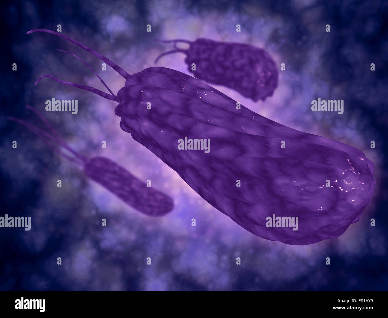 Conceptual image of helicobacter. Helicobacter is a genus of gram-negative bacteria possessing a characteristic helix shape. Stock Photo