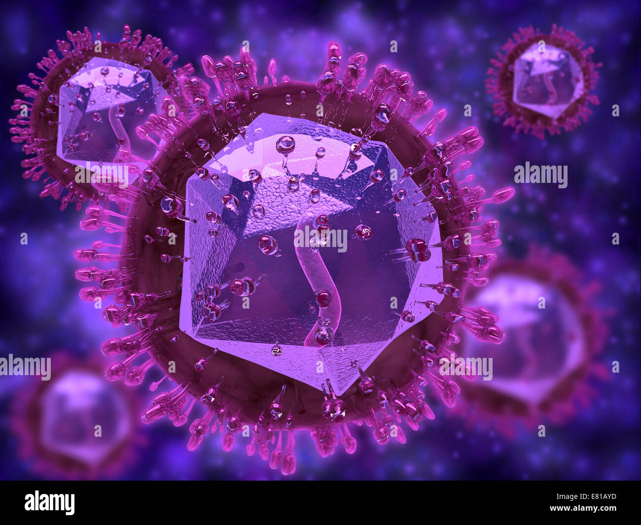 Microscopic view of herpes virus Stock Photo - Alamy