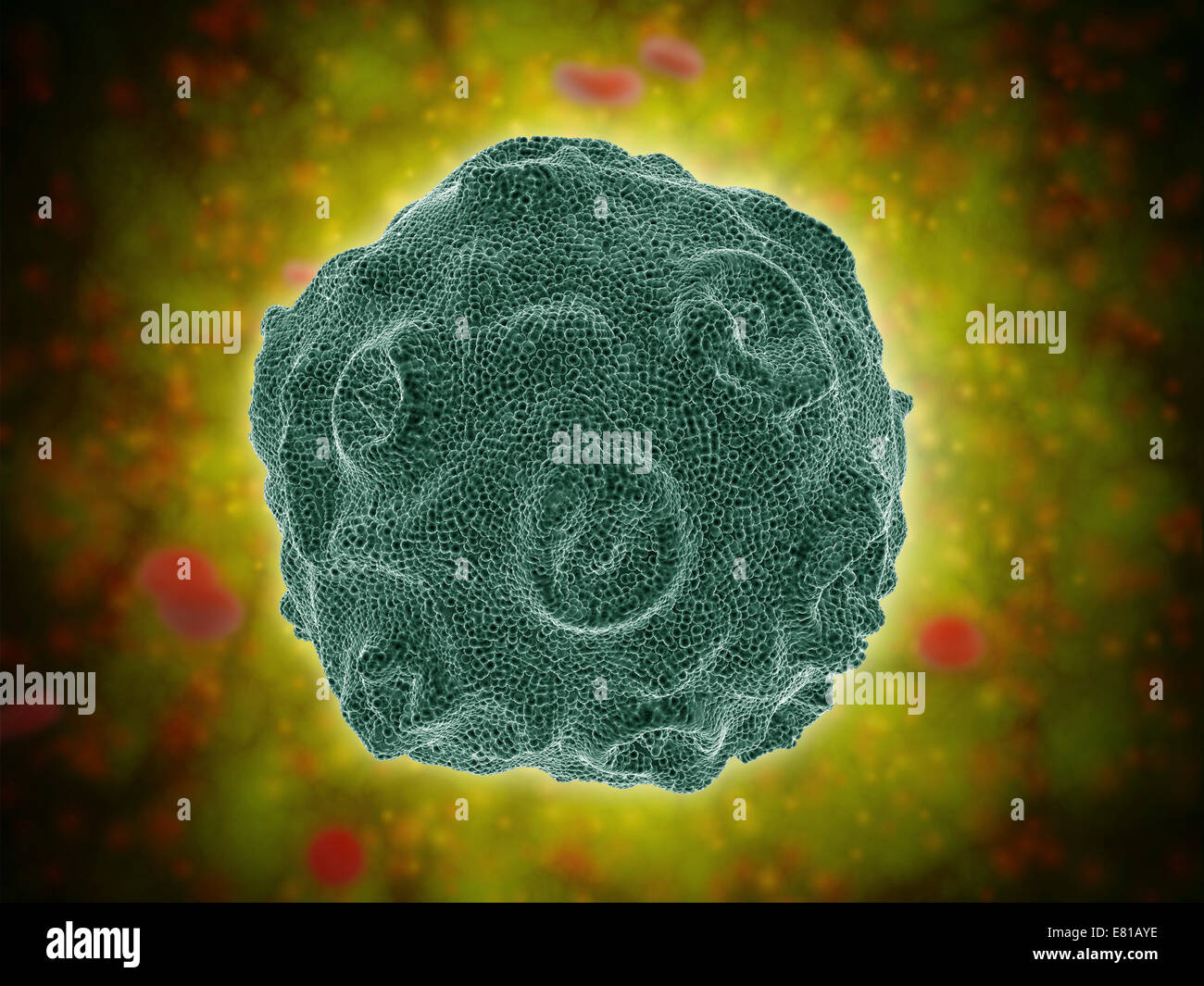Conceptual image of the Human Papilloma Virus (HPV). HPV is a virus from the papillomavirus family that affects human skin and t Stock Photo