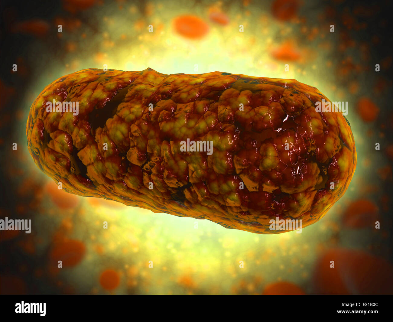 Microscopic view of Yersinia. Yersinia is a gram-negative, rod-shaped bacteria in the family Enterobacteriaceae. Stock Photo