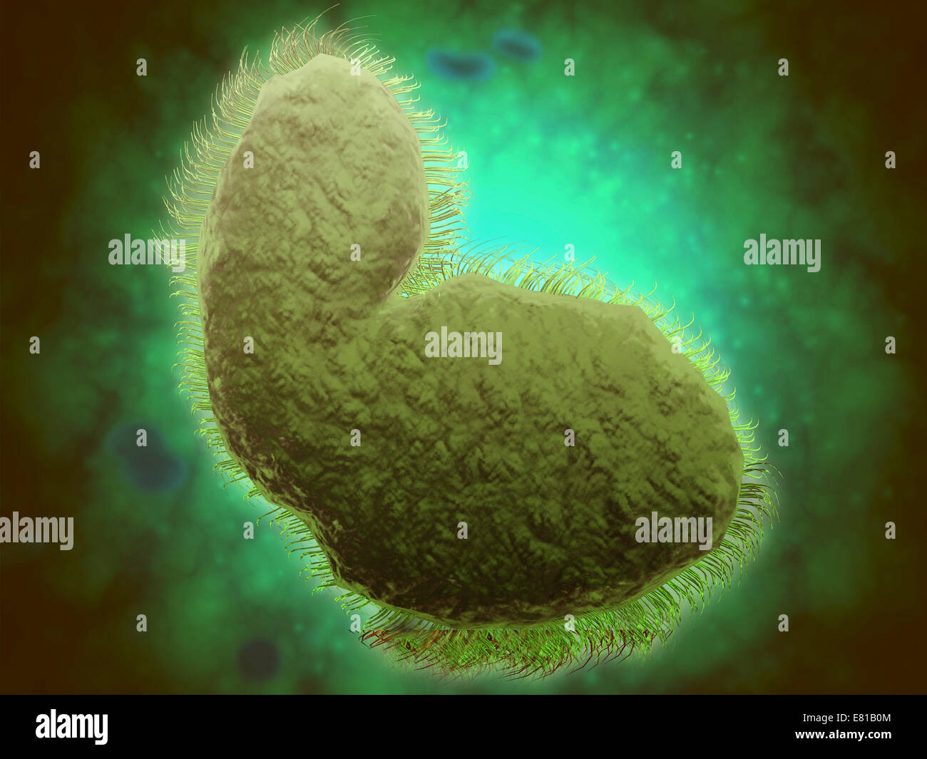Cold Virus Cell Stock Photos & Cold Virus Cell Stock Images - Alamy