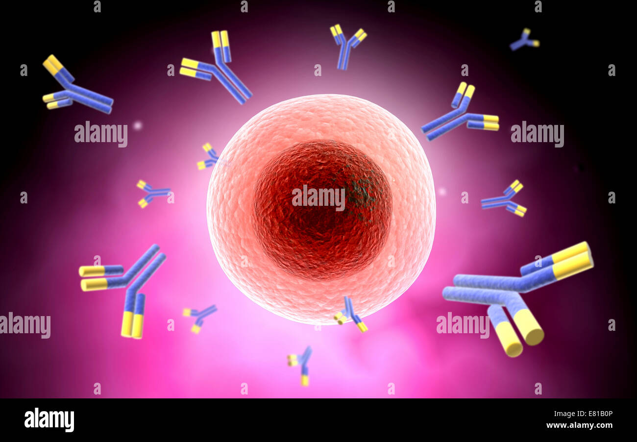 Microscopic view of cell and antibody. Stock Photo