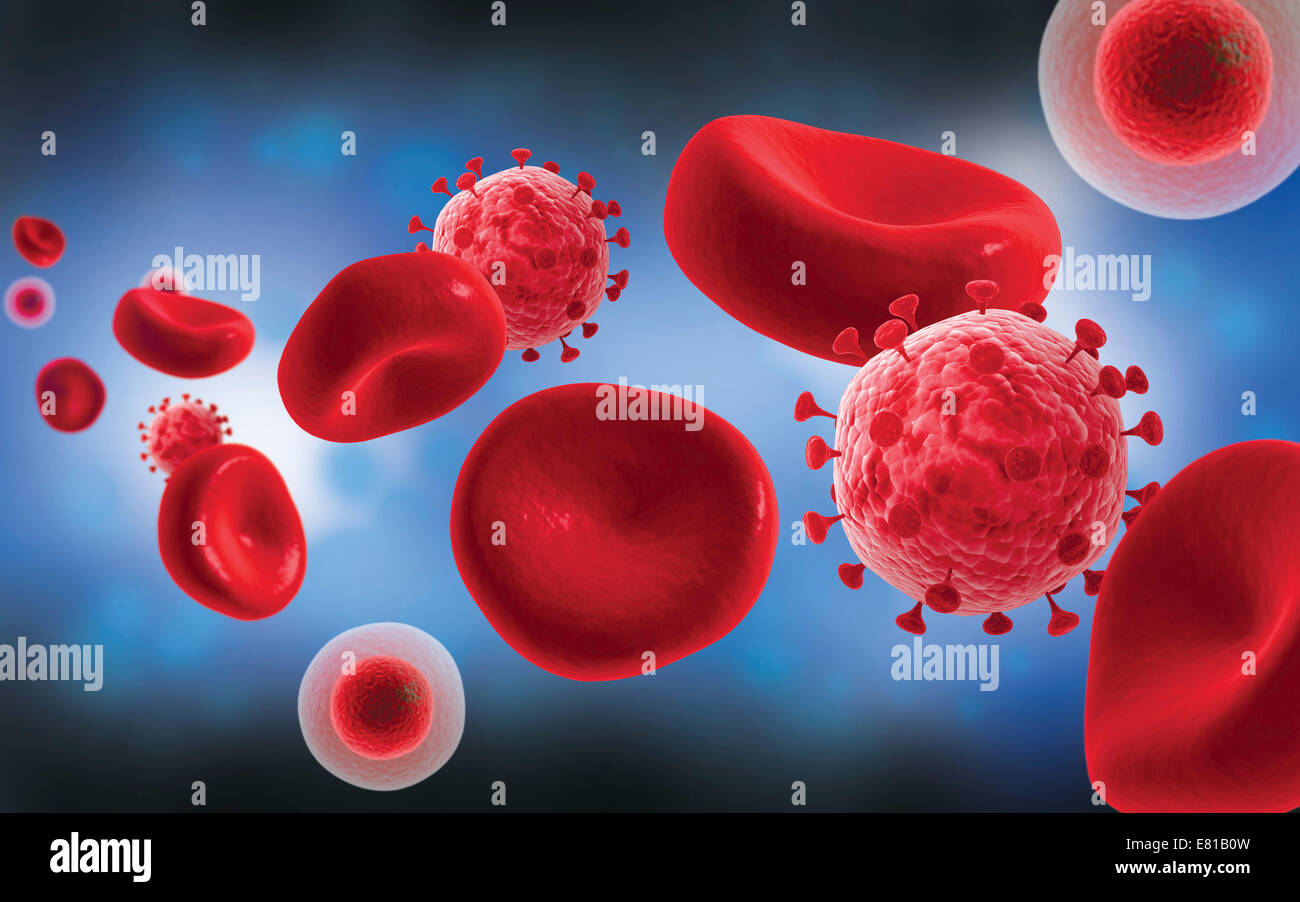 Microscopic view of blood cells with virus. Stock Photo