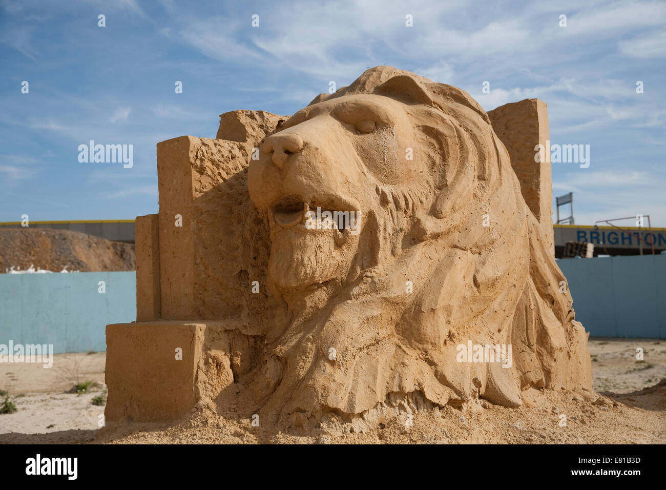 Lion is one of the big five animals on display at the Sand Sculpture festival in Brighton Stock Photo