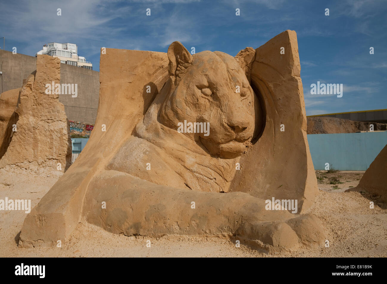 Leopard is one of the big five animals on display at the Sand Sculpture festival in Brighton Stock Photo