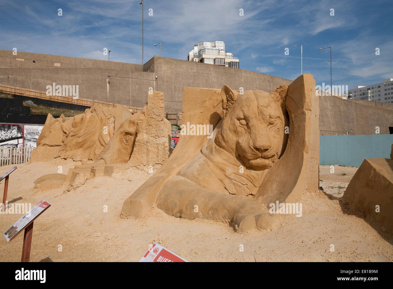 Leopard is one of the big five animals on display at the Sand Sculpture festival in Brighton Stock Photo