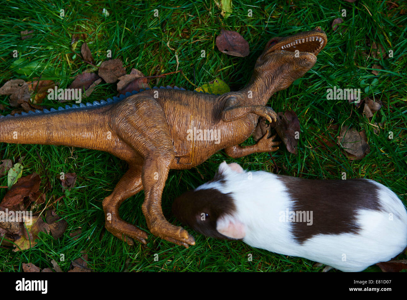 Google T-Rex but it's realistic by Guineu